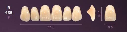 R455-D3 MONDIAL TEETH UPPER ANTERIOR | Oraltec